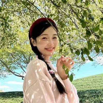 雾岛美丽的夏天
